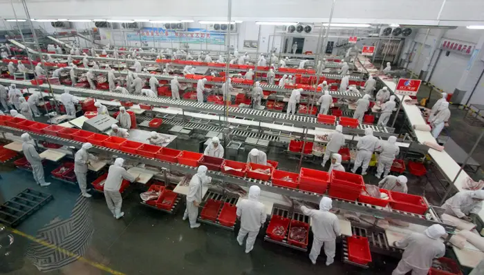 بهترین دستگاه ازن ساز برای صنایع غذایی