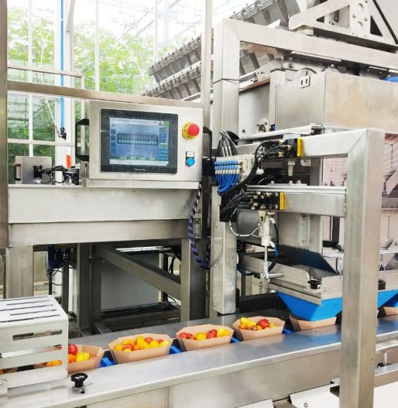 lg-fotogalerianoticia-10350-12629 lg-fotogalerianoticia-10350-12629